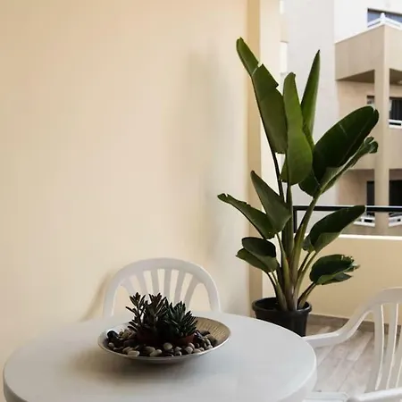 Marine & Coastal Lifestyle: Sea, Sun And *