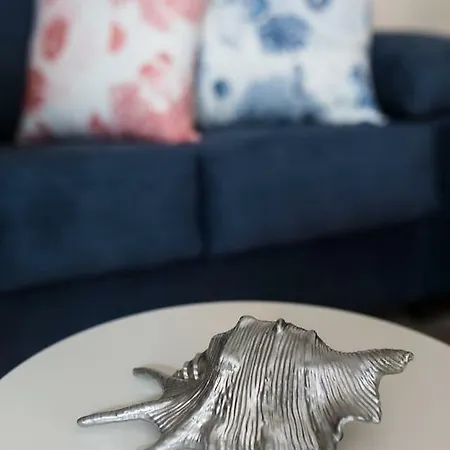 Marine & Coastal Lifestyle: Sea, Sun And Daire El Médano