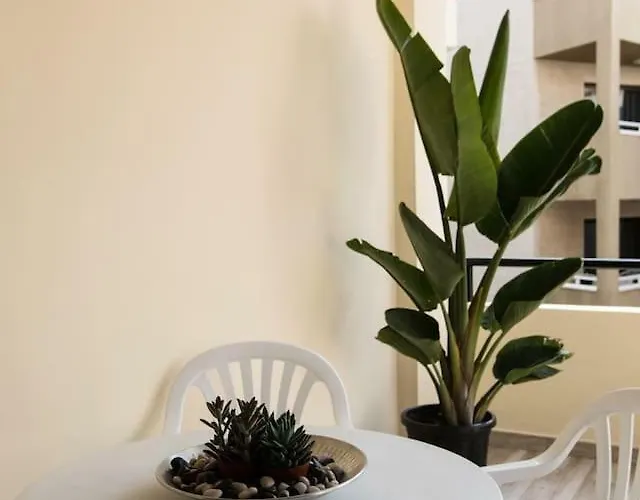 Marine & Coastal Lifestyle: Sea, Sun And *